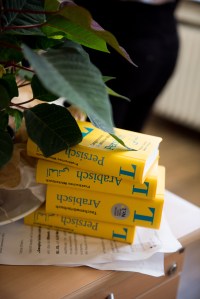 %e2%94%acthekla_ehling-5676